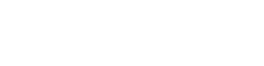 Vega City